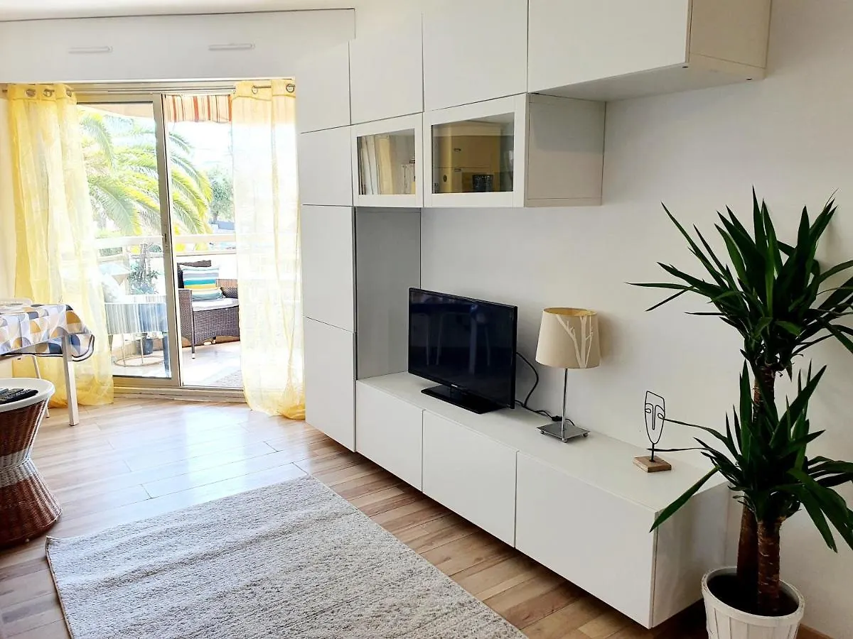 Apartment Bel Appartement A 50M De La Plage, 2 Pieces Climatisees, Parking Prive Antibes